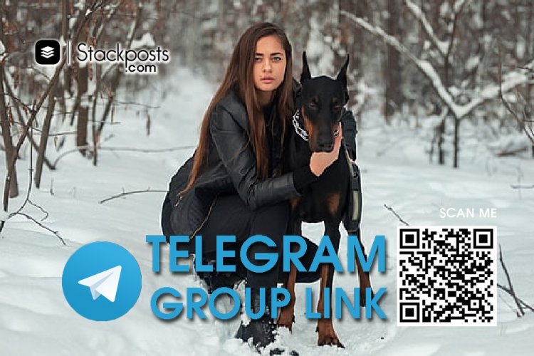 Nhóm telegram hàn quốc - telegram group like