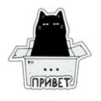 Zhora the cat telegram stickers
