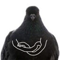 Dove with hands telegram stickers